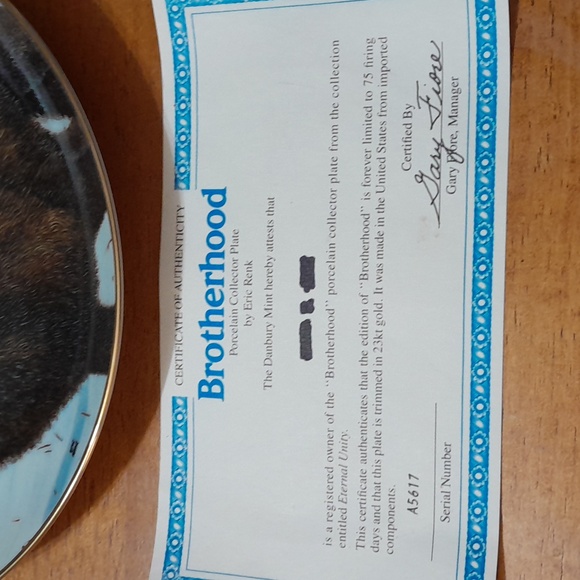 The Danbury Mint Plate Eternal Unity Collection - Picture 3 of 4